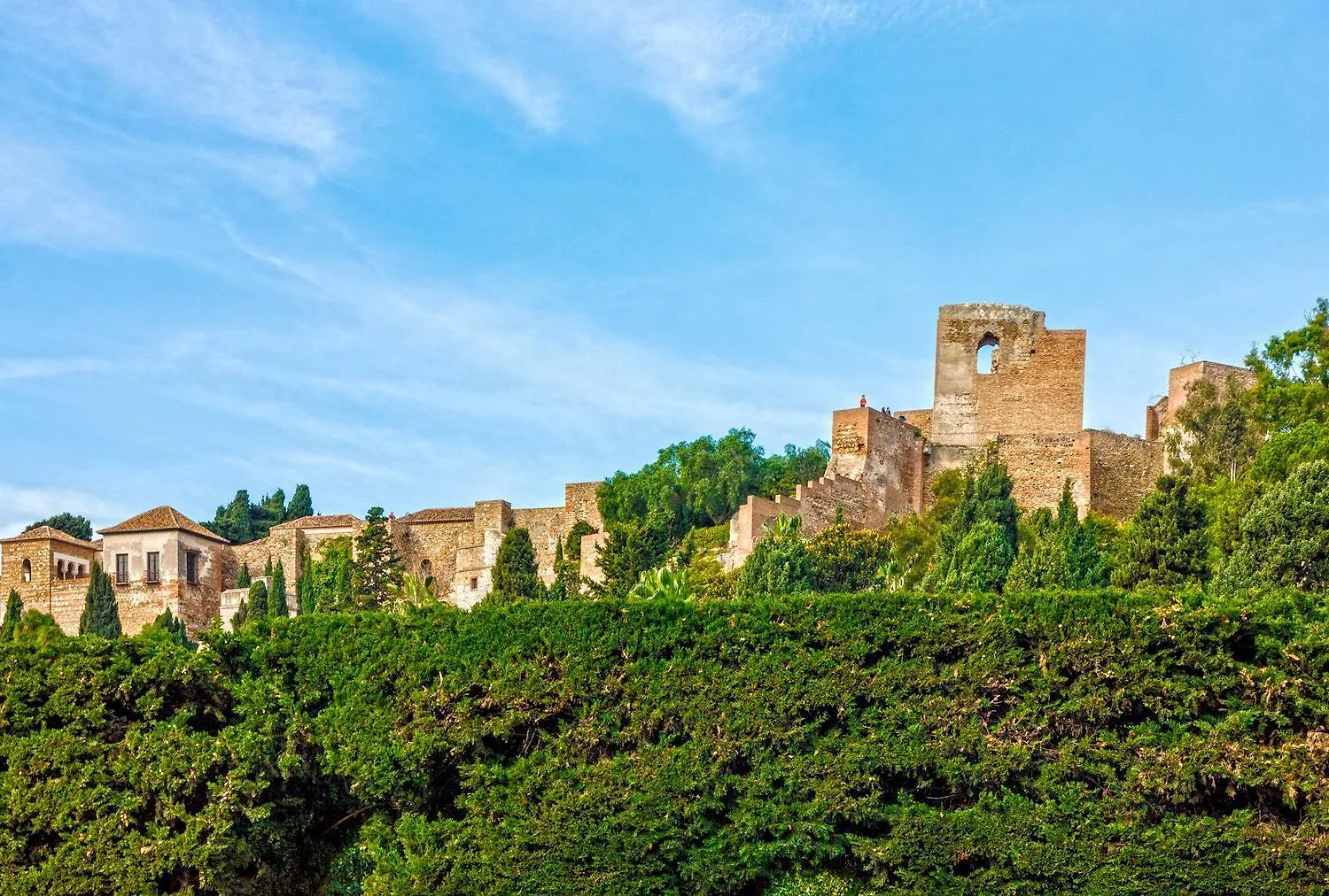 Premium Apartment Historic Center, Thyssen Museum Spain